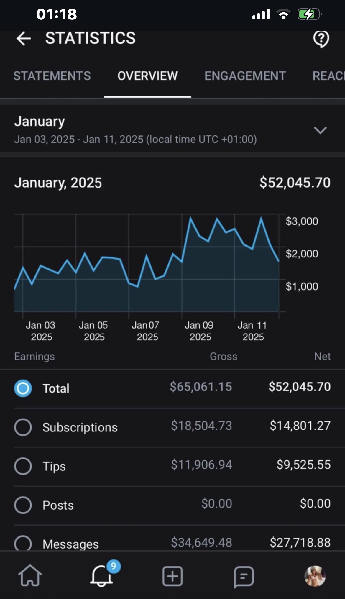 Sarah's January 2025 Earnings Statistics